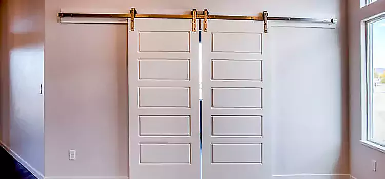 Glass Barn Door with Installation Hardware Kit Brossard